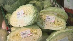 9月の野菜価格の見通し ｢キャベツ｣「レタス｣「なす」が安い 農水省| TBS CROSS DIG with Bloomberg