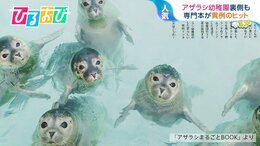 『アザラシ専門本』なぜ異例のヒット?きっかけは“アザラシ幼稚園”「保護活動もっと知ってほしい」【ひるおび】|TBS NEWS DIG
