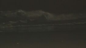 海水浴に来ていた親子が溺れ母親(24)が死亡 一緒に溺れた5歳の息子は意識回復 愛知・豊橋市|TBS NEWS DIG