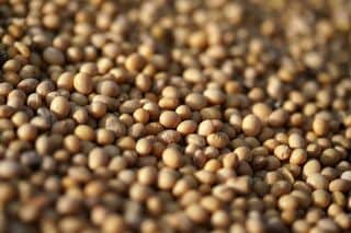 中国、米国産大豆を大量購入－米中通商休戦の合意実行を示唆| TBS CROSS DIG with Bloomberg