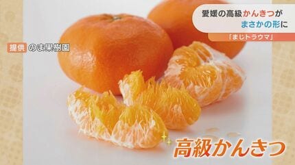 まじトラウマ」「まるでエイリアン」“こわいみかん”にSNS大バズリ 担当