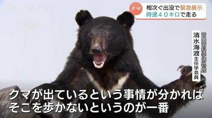 ツキノ輪クマ魔除け.災難除け.胆 ツキノ輪クマ魔除け.災難除け.胆