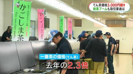 鹿児島県産「てん茶」二番茶取引会 平均価格は前年比3000円以上高騰も