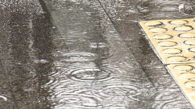 6月10日にかけて急に雨足が強まり強い雨も…梅雨前線の北上で静岡県に活発な雨雲が近づく恐れ 東海地方が梅雨入り|TBS NEWS DIG