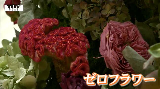 花を瞬間冷凍 "ゼロフラワー" のフラワーアート展　その楽しみ方は？（山形・酒田市）|TBS NEWS DIG