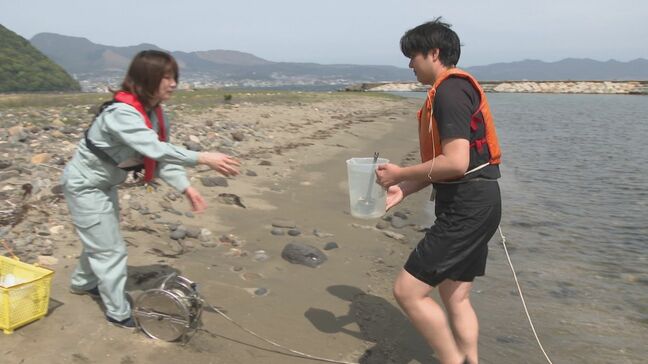 海開き前に 海水浴場で水質調査 大分|TBS NEWS DIG