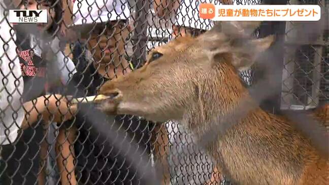 児童たちが育てたナスをバクバク食べる! 動物たちに愛情たっぷりのおいしいプレゼント!(山形・河北町)|TBS NEWS DIG
