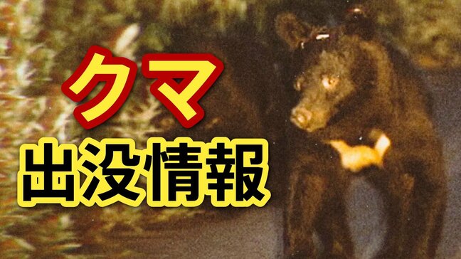 「柿の木が折られて爪痕がある」クマの可能性が高いと認定　自治体や警察が注意を呼びかけ　広島・安佐南区|TBS NEWS DIG