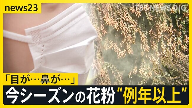 あす春節　賑わう観光地では「目薬とティッシュは必ず…」スギ花粉　東京で飛散開始　一方でインフルB型急増　1シーズンで2度「警報レベル」超え【news23】|TBS NEWS DIG