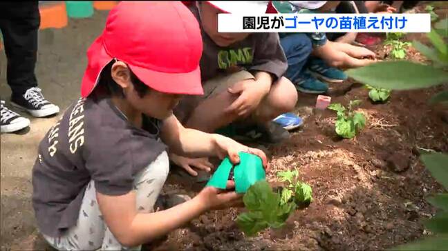 ”植物カーテン”で夏の暑さ遮る 「涼しくなってほしい」園児がゴーヤの苗植え 宮城・白石市|TBS NEWS DIG