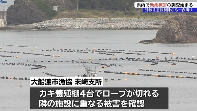 岩手県内で漁業被害の調査始まる 津波注意報解除から一夜明け 岩手|TBS NEWS DIG