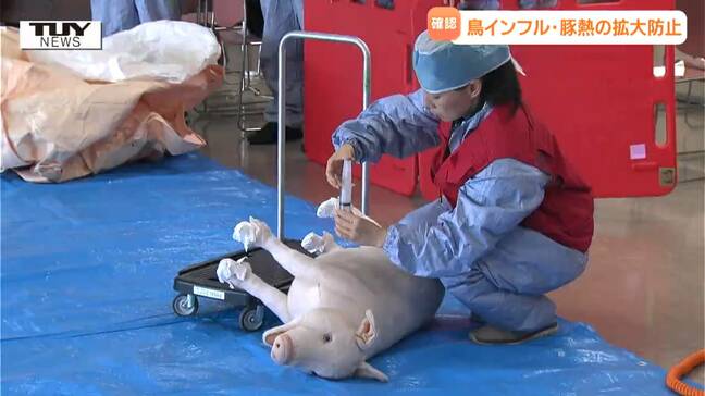 鳥インフルエンザ・豚熱の蔓延を防げ！　関係者が具体的な対応方法を共有（山形・米沢市）|TBS NEWS DIG