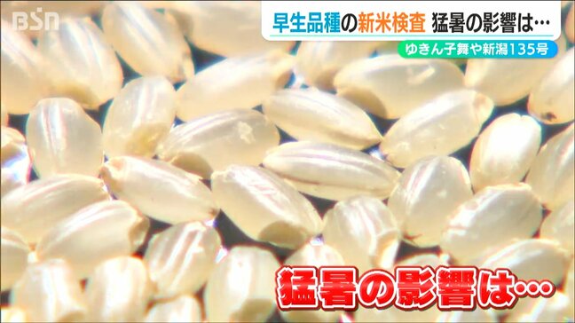 新米検査開始「早生品種は全量一等米」コメの出荷量全国トップの JA新潟かがやき|TBS NEWS DIG