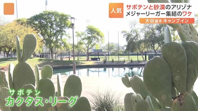 “サボテン”のアリゾナにメジャーリーガー集結のワケ　2月は暑すぎない、日中は寒くない完璧な天気|TBS NEWS DIG