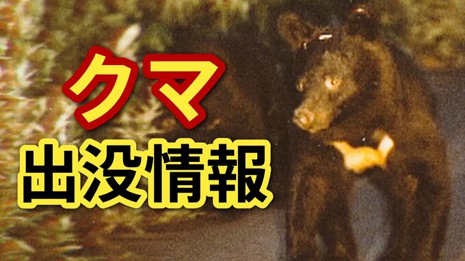 「柿の木が折られて爪痕がある」クマの可能性が高いと認定　自治体や警察が注意を呼びかけ　広島・安佐南区　|　RCC NEWS | 広島ニュース | RCC中国放送