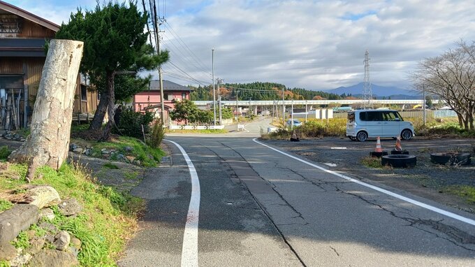 クマに頭をかまれる　散歩中の80代男性が襲われけが　覆いかぶさられているところを通行人が発見・通報　秋田市の市道上|TBS NEWS DIG