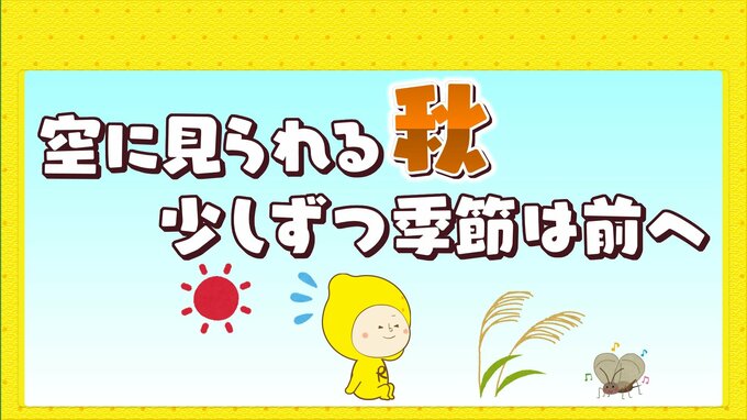 猛暑の中でも空で見つかる「秋」　季節ごとの雲の見分け方　少しずつ季節は進んでいます|TBS NEWS DIG