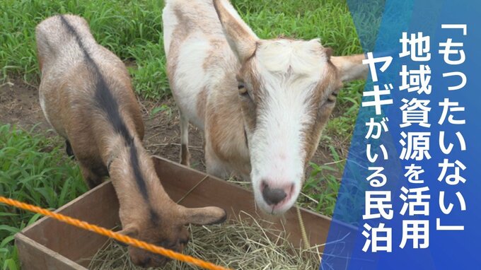 【SDGｓ】「ヤギは究極のエコ動物」眠っていた地域資源活用　「もったいない」から生まれた民泊|TBS NEWS DIG