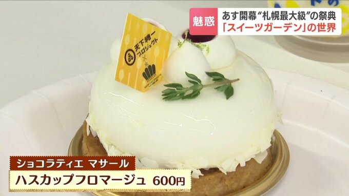 ショコラティエ マサールの「ハスカップフロマージュ」 商品の接写