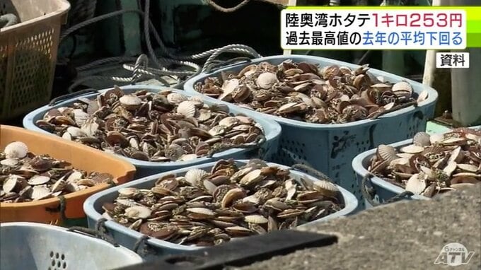 「陸奥湾ホタテ」1kgあたりの落札価格は平均253円に　過去最高値だった2025年の価格を下回る　5月25日までの水揚げは1262トン　生育不良で上場されず2025年の同時期の半分以下に|TBS NEWS DIG