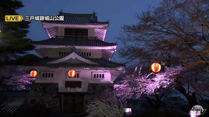 早咲きの満開で艶やかにライトアップ開始　三戸城跡城山公園|TBS NEWS DIG