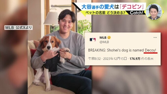 大谷翔平選手の愛犬は“デコピン”　「私もデコピンになりたい」　皆さんは愛するペットの名前どう決めていますか？　　|　RCC NEWS | 広島ニュース | RCC中国放送