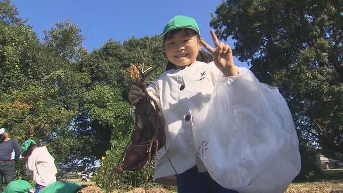 「大きい芋とったど～」 幼稚園児が芋掘り体験　大分　|　大分のニュース｜OBS NEWS｜大分放送