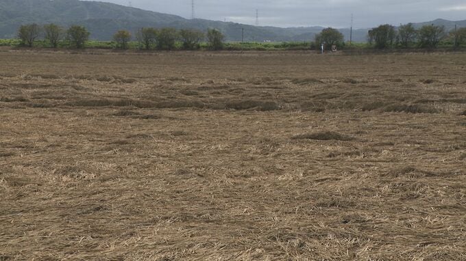  来年も稲作ができるのか… 米農家も悲嘆の声 記録的大雨から3週間 邑知潟周辺の排水完了も漂う悪臭…|TBS NEWS DIG