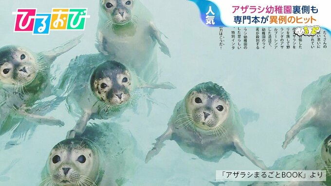 『アザラシ専門本』なぜ異例のヒット？きっかけは“アザラシ幼稚園”「保護活動もっと知ってほしい」【ひるおび】|TBS NEWS DIG