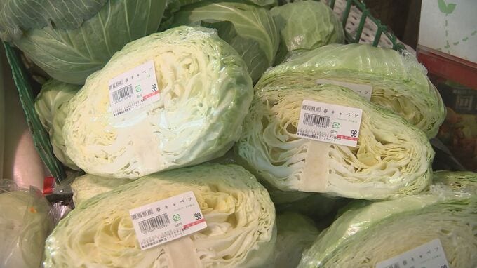 9月の野菜価格の見通し ｢キャベツ｣「レタス｣「なす」が安い 農水省