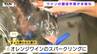 今年はキレがある！ワインの醸造作業が本格化　3トンのデラウェアを皮や種ごとプレス！（山形・上山市）　|　山形のニュース│TUYテレビユー山形