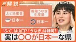 「本当に悲願だった」担当者は涙…鹿児島県“お茶生産”日本一に 意外?実は〇〇が1位な県【Nスタ解説】|TBS NEWS DIG