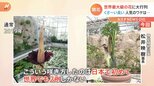 「ちょいクサい」世界最大級&激臭を放つ花が開花 開園前から300人超の大行列|TBS NEWS DIG