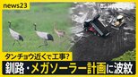 釧路・メガソーラー工事で波紋広がる 自然豊かな湿原周辺で何が 工事計画めぐる様々な声【news23】|TBS NEWS DIG