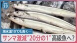 日本南海上に“トリプル台風”発生　秋の味覚は猛暑による影響も… サンマ１匹“2万8000円”【news23】|TBS NEWS DIG