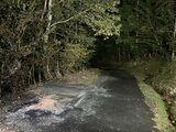 【速報】焼けた車から２人の遺体発見　１人は子どもの可能性も　警察が捜査　広島　|　RCC NEWS | 広島ニュース | RCC中国放送