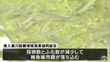 ４年前に８万８０００匹のサケの捕獲数が今年度は５０００匹に…十和田市のサケふ化場が事業継続のための支援を十和田市に要望　|　青森のニュース│ATV NEWS│青森テレビ