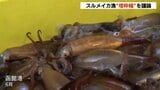 函館市などがスルメイカ漁の停止解除を要望 水産庁が5日午後の審議会で「漁獲枠の増枠幅」議論へ 資源保護のため10月末に採捕停止命令 | 北海道のニュース|HBC北海道放送