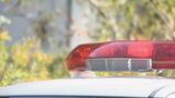 パトロール中の警察官が低速走行の車を見つけ… 酒気帯び運転容疑で男(76)逮捕 | 愛媛のニュース - Nスタえひめ|あいテレビは6チャンネル