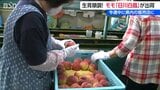 県内最大のモモの産地 白根地区で出荷始まる 今週中には店頭に 新潟 | 新潟のニュース・天気|BSN NEWS|BSN新潟放送