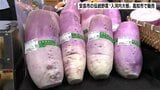 「味が普通の大根と違う」安芸市の伝統野菜『入河内大根』を高知市で販売|TBS NEWS DIG