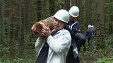 間伐材を運び出す取り組みで二酸化炭素58トン吸収 金融機関の新入社員らが紫波町で森林環境保全活動|TBS NEWS DIG