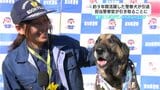 「この子に教えてもらったことがほとんど」約９年活躍した警察犬『フィン』が引退　パートナーとして活動してきた巡査部長が引き取ることに|TBS NEWS DIG