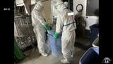 防疫措置　1日前倒しの5月1日に完了へ　東北町の養鶏場で発生の「高病原性鳥インフルエンザ」当初の想定より作業進む　県養鶏協会は今回の感染は「異例」と指摘「本当にびっくりした」「まさかいまか」|TBS NEWS DIG