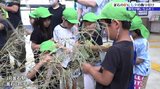 「みんなと遊べるように」 こども園の園児たちがJR釜石駅に七夕の飾りつけ 岩手・釜石市|TBS NEWS DIG