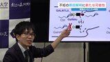 精子はどうやって進む?実は謎だった受精のメカニズム 熊本大学が解明 ポイントは精子の「たんぱく質」 | 熊本のニュース|RKK NEWS|RKK熊本放送