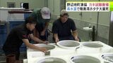 「やるからには成功させたい」野辺地町漁協が副業魚種としての可能性を探るため「マガキ」の稚貝の試験養殖はじめる 高水温による「陸奥湾ホタテ」の大量死を受け 早ければ2027年秋頃に出荷サイズにする予定|TBS NEWS DIG
