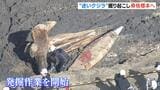 頭の骨がむき出しに…“迷いクジラ”約２年ぶり掘り起こし　おととし大阪湾で目撃、その後死んで堺市内に埋設　調査後に大阪市立自然史博物館に展示へ|TBS NEWS DIG
