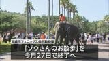 ２０年続く恒例行事　アジアゾウのお散歩が今月で終了　宮崎市フェニックス自然動物園　|　MRTニュース ｜ ＭＲＴ宮崎放送