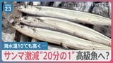 日本南海上に“トリプル台風”発生 秋の味覚は猛暑による影響も… サンマ1匹“2万8000円”【news23】|TBS NEWS DIG